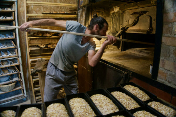 A baker wearing a grey-blue t-shirt and pants with his long brown hair in a bun puts bread in a large brick oven with a long thin paddle. The mouth of the oven is composed of an intricate forged steel mechanism. A bare light bulb hanging at the mouth allows him to see inside, and positioned behind his head creates a halo effect. The wooden paddle he uses becomes an extension of the gesture of his arm, aligned in the photo with the tilt of his gaze as he deftly places individual loaves in the raging hot oven. He is surrounded by bread in the foreground as well as the background of the photo.