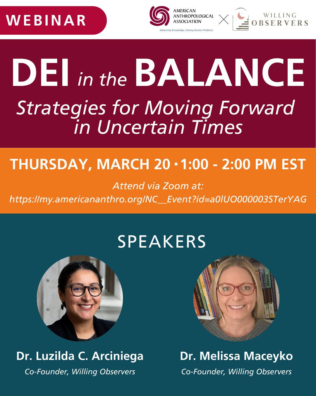 DEI in the Balance Webinar